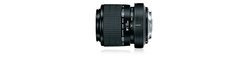 Explore MP-E 65mm f/2.8 1-5x Macro Photo | Canon Latin America