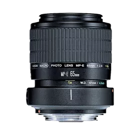 MP-E 65mm f/2.8 1-5x Macro Photo