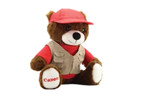 Collectible Canon Bear