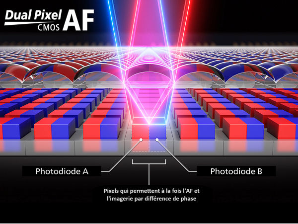 Conception compacte et monocoque ; Mise au point automatique CMOS Dual Pixel