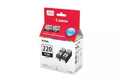 Cartouches d encre noire PGI-220 (paquet double)