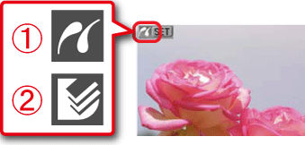How to Check if Your Digital Camera Works with PictBridge or Direct Print