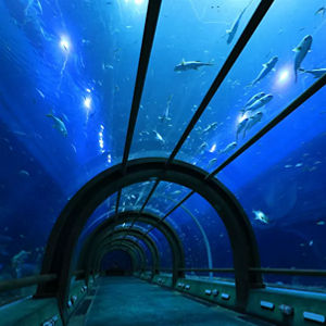 Tunnel sous-marin