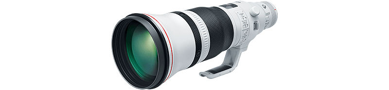 Explore EF 600mm f/4L IS III USM | Canon Latin America