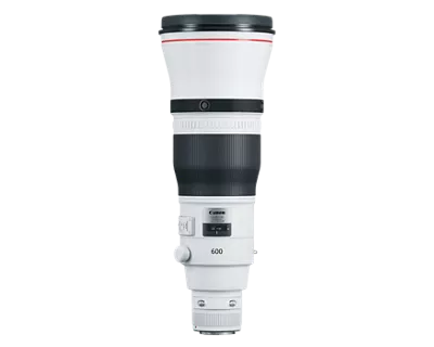 EF 600mm f/4L IS III USM