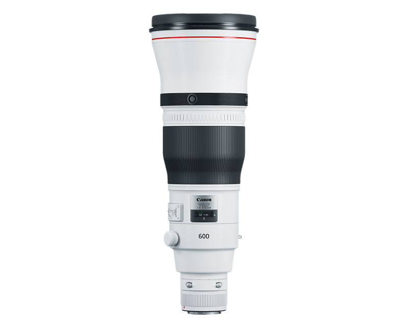 canon ef600㎜ f4l is ⅱ usm メンテナンス済　EF1.4X Canon Support for EF 600mm f/4L IS III USM | Canon U.S.A., Inc.