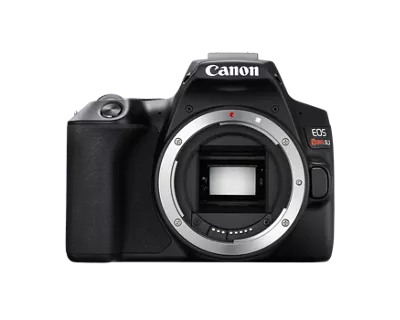 Cámara Profesional DSLR - EOS SL3 – Picacia