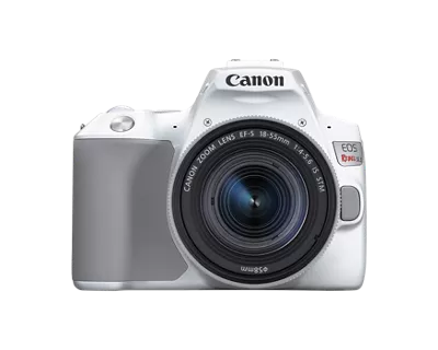 Canon EOS 250D / Rebel SL3 DSLR Camera with 18-55mm (Black) 64GB + Fla –  The Pixel Hub