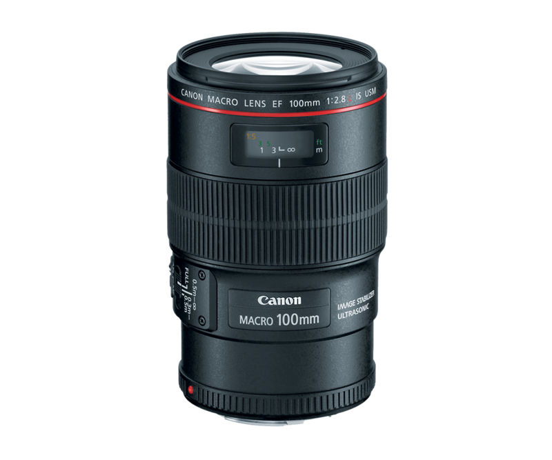 Canon Support for EF 100mm f/2.8L Macro IS USM | Canon U.S.A., Inc. Canon Support for EF 100mm f/2.8L Macro IS USM | Canon U.S.A., Inc.