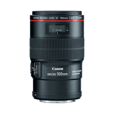 新品日本製キャノン CANON MACRO EF 100mm F2.8 マクロレンズ レンズ(単焦点)