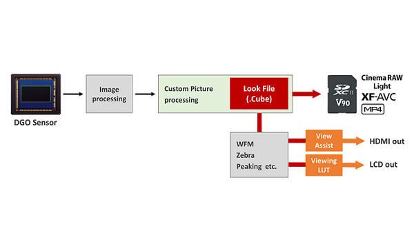 Look File for Recording (User LUT)