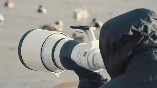 photographer shooting with lens