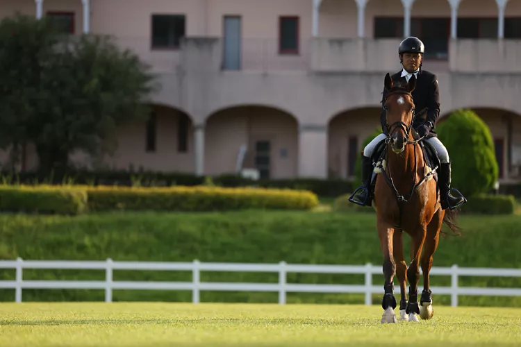 Jockey Riding a Horse in a Field