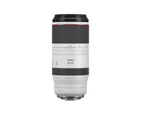 RF100-500mm F4.5-7.1 L IS USM