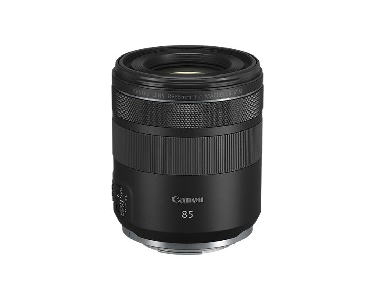 4234C002_rf85mm-f2-macro-is-
