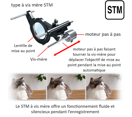 Exemple STM de type vis-mère