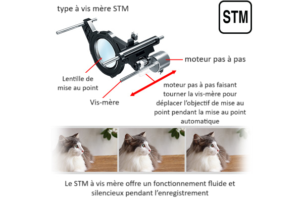 Exemple STM de type vis-mère