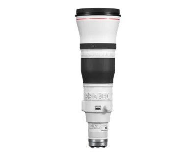 5054C002_rf600mm-f4-l-is-usm_2
