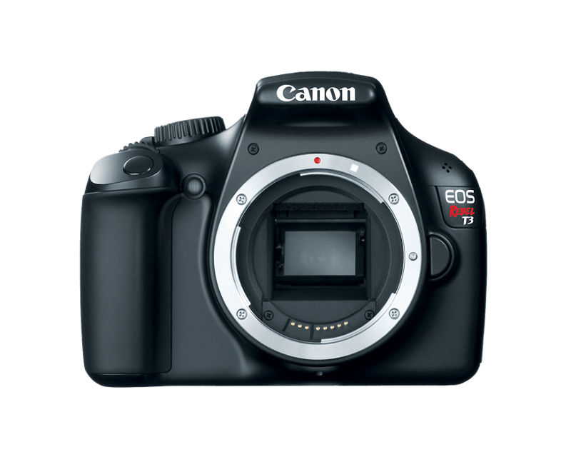 Canon t3 2024