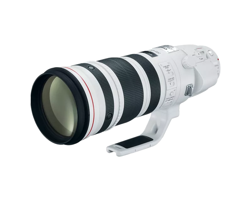 EF 200-400mm f/4L IS USM Extender 1.4x