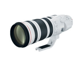 Lente Canon EF 200-400mm f/4 IS USM Extender 1.4X | Super Telefoto