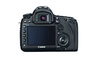 [ショット数：8,620枚！] EOS 5D III #C341 ショット数：8,620枚！] EOS 5D III #C341