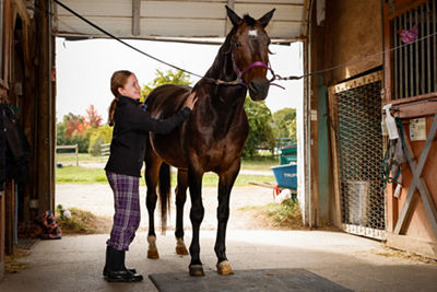 Person Petting a Horse