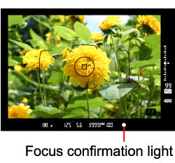 Shooting with Focus Lock (EOS-1D X)