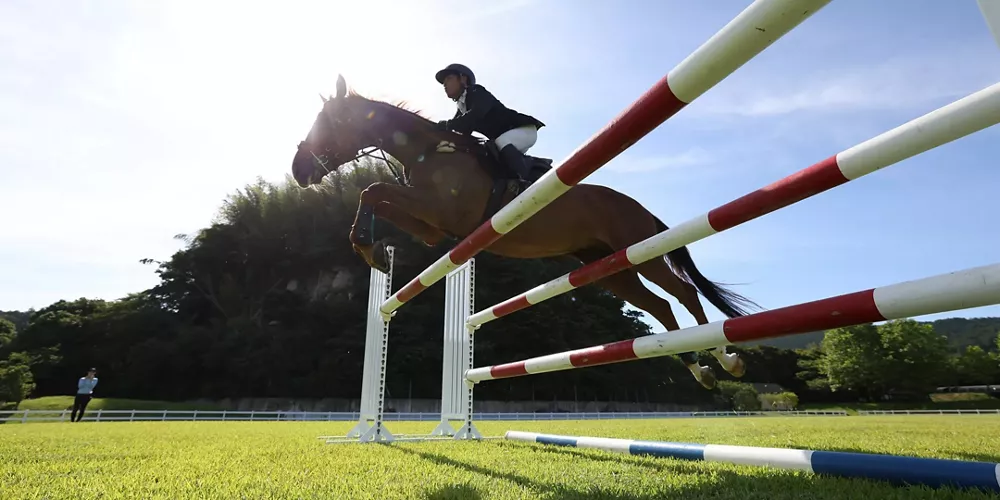 Jockey à cheval et obstacle de saut