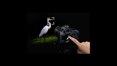 Dual Pixel CMOS AF demo