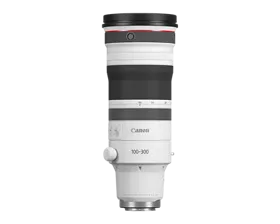 Objectif RF 100-300 mm f/2,8 L IS USM (Boîte endommagée)