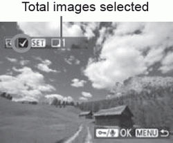How to Copy Images Between Memory Cards on Your EOS-1D C