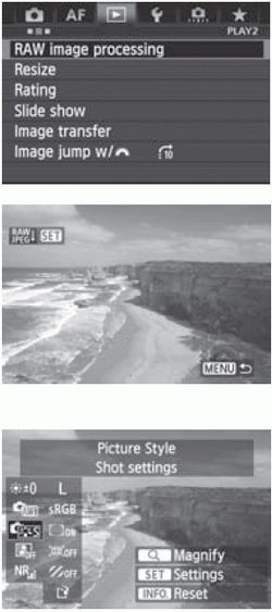 Processing RAW Images with the Camera