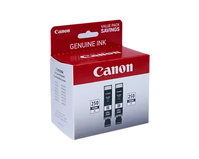 6432B004_pgi-250-pigment-black-xl-twin-ink-pack_2
