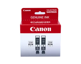 PGI-250 Pigment Black XL Twin Ink Pack