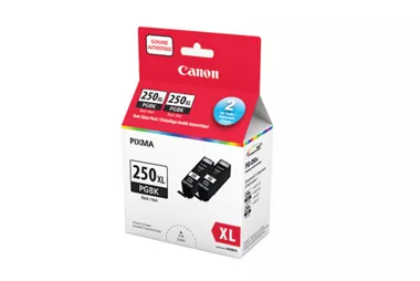PGI-250 XL Twin Pack