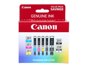 PGI-250 XL / CLI-251 5 Color Value Pack