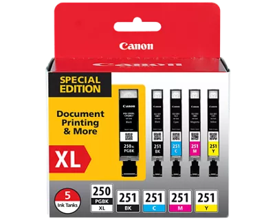 PGI-250 XL / CLI-251 5 Color Value Pack PGI-250 XL / CLI-251 5 Color Value Pack