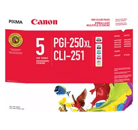 PGI-250XLBK /CLI-251 Value Pack