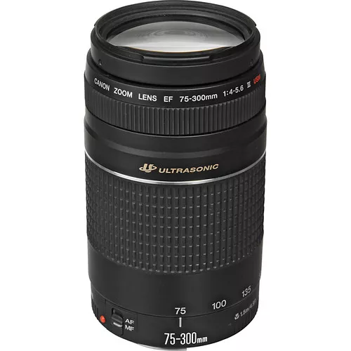 EF75-300mm F4-5.6 IS USM - キヤノンカメラミュージアム