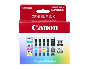 PGI-250 / CLI-251 5 Color Value Pack
