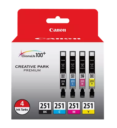 CLI-251 4 Color Ink Pack