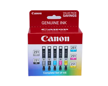 CLI-251 Gray, Black, Cyan, Magenta & Yellow 5 Ink Pack