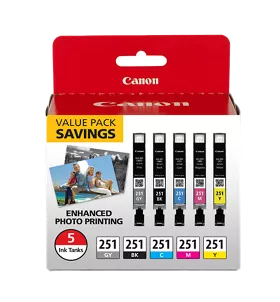 CLI-251 Gray, Black, Cyan, Magenta & Yellow 5 Ink Pack