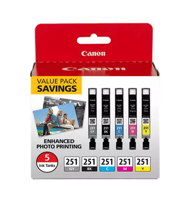 CLI-251 Gray, Black, Cyan, Magenta & Yellow 5 Ink Pack