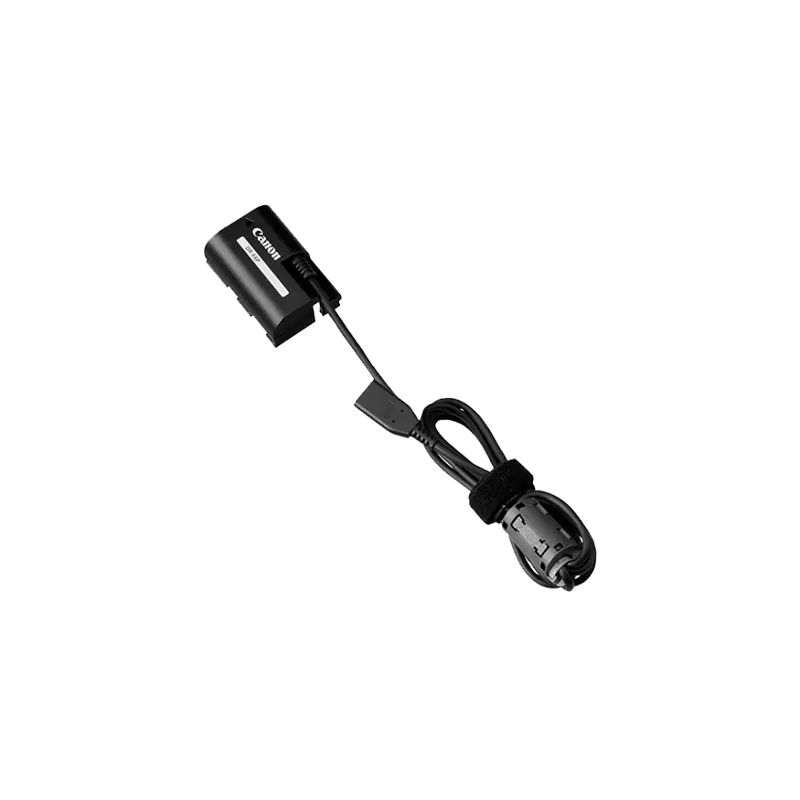 main product