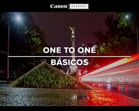 ONE TO ONE BASICOS