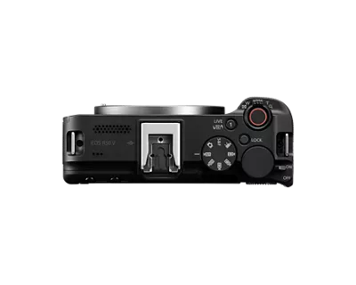 6895C002_R50_V_Body_3