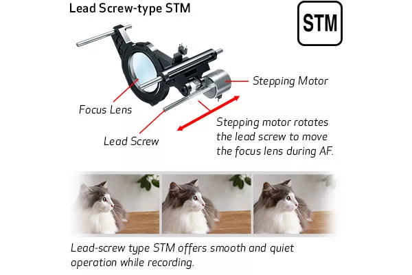 Lead Screw-type STM Sample