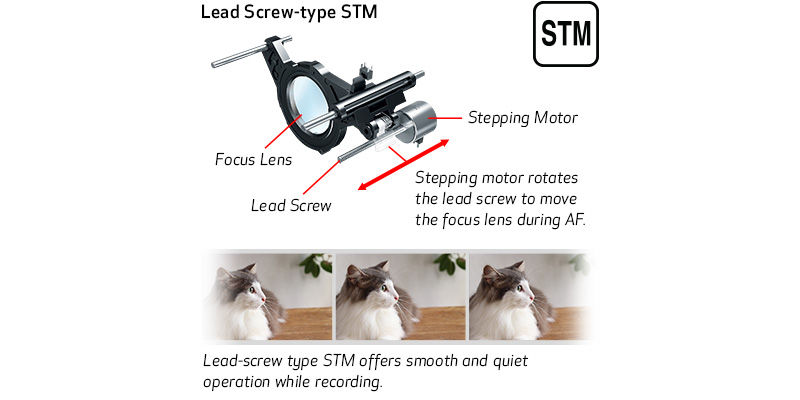 Lead Screw-type STM Sample